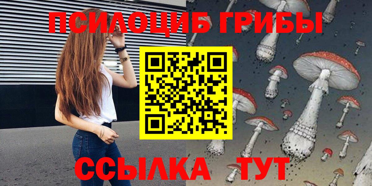 Псилоцибиновые грибы Psilocybine cubensis Кумертау