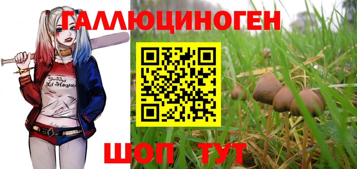 Псилоцибиновые грибы прущие грибы  Вход с VPN  Кумертау  Псилоцибиновые грибы мухоморы 